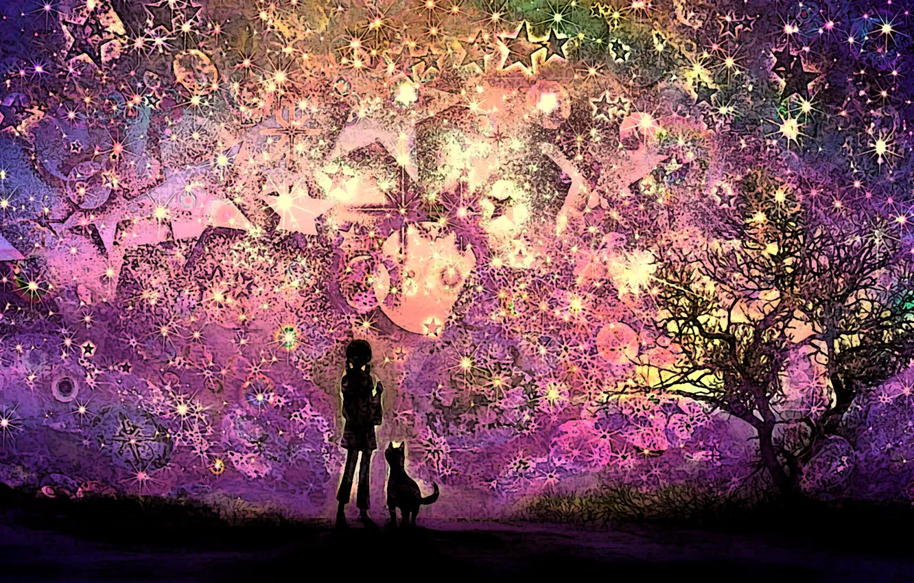Photo wallpaper cat, the sky, girl, night, abstraction