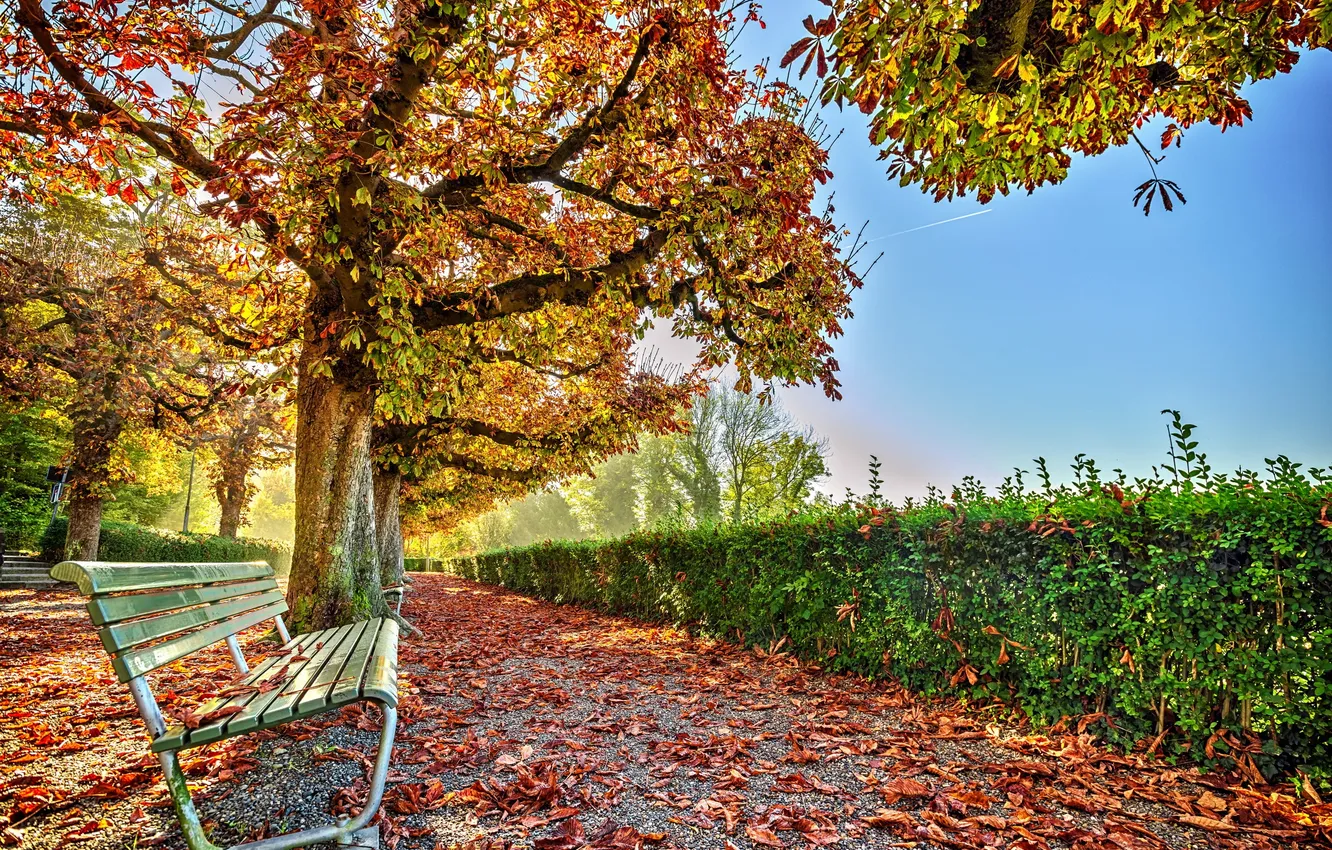 Photo wallpaper autumn, the city, street, bench