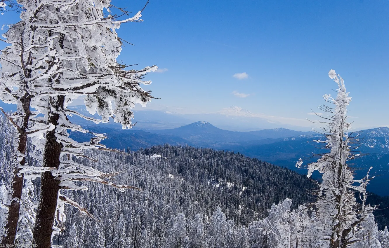 Photo wallpaper winter, forest, Mountains