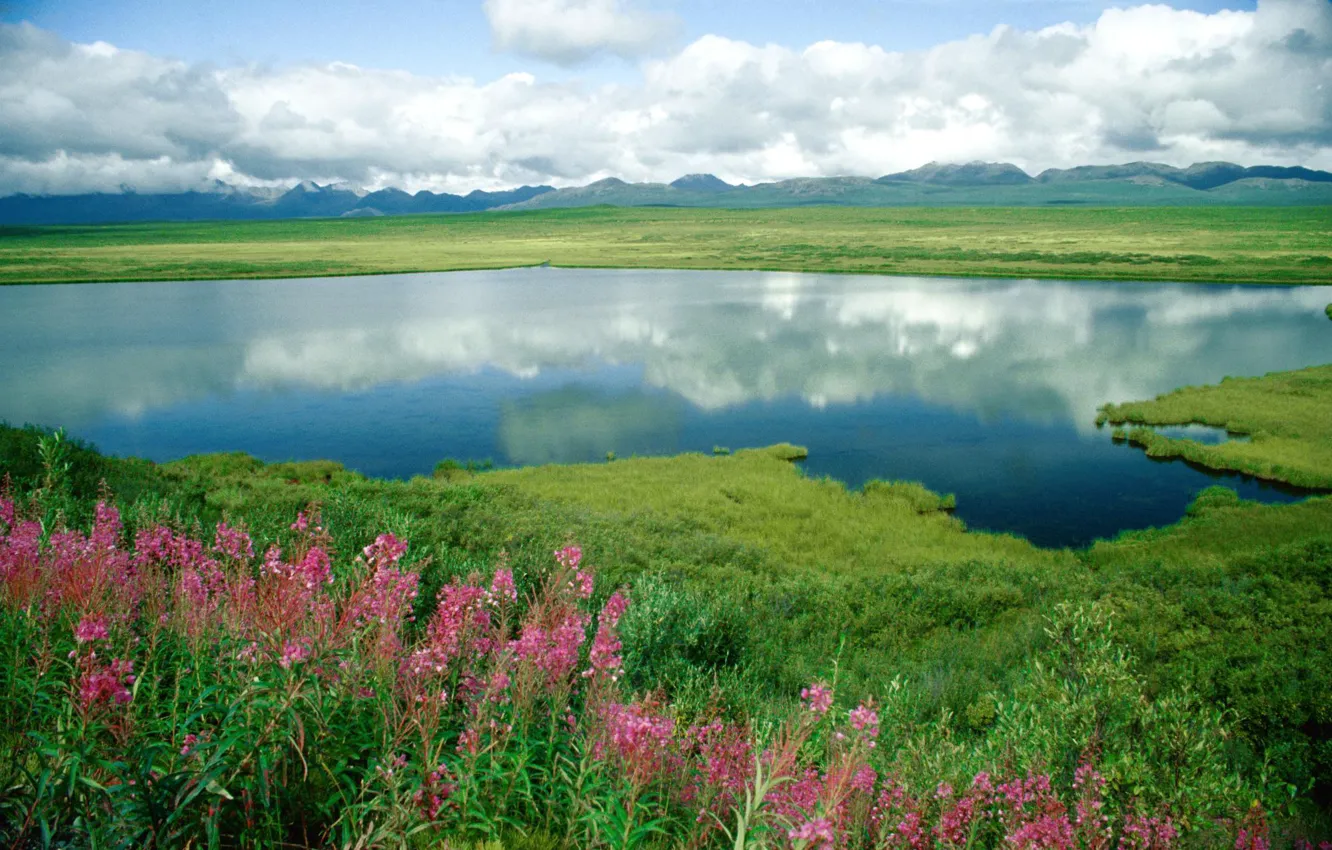 Photo wallpaper the sky, grass, clouds, flowers, mountains, lake, pond, the steppe