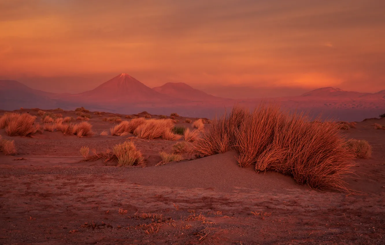 Photo wallpaper sand, grass, mountains, desert, Mars, the bushes
