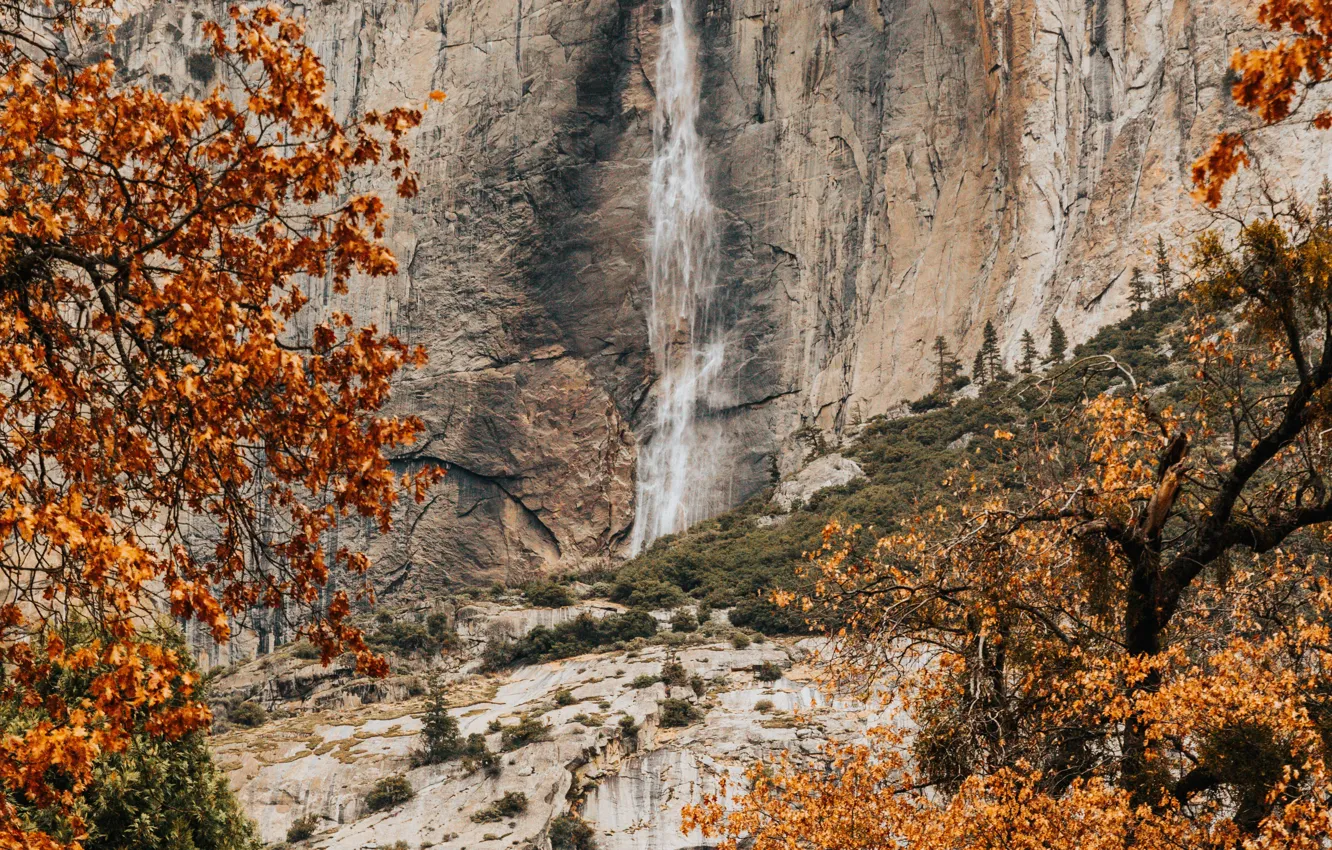 Photo wallpaper autumn, trees, nature, rocks, vegetation, waterfall