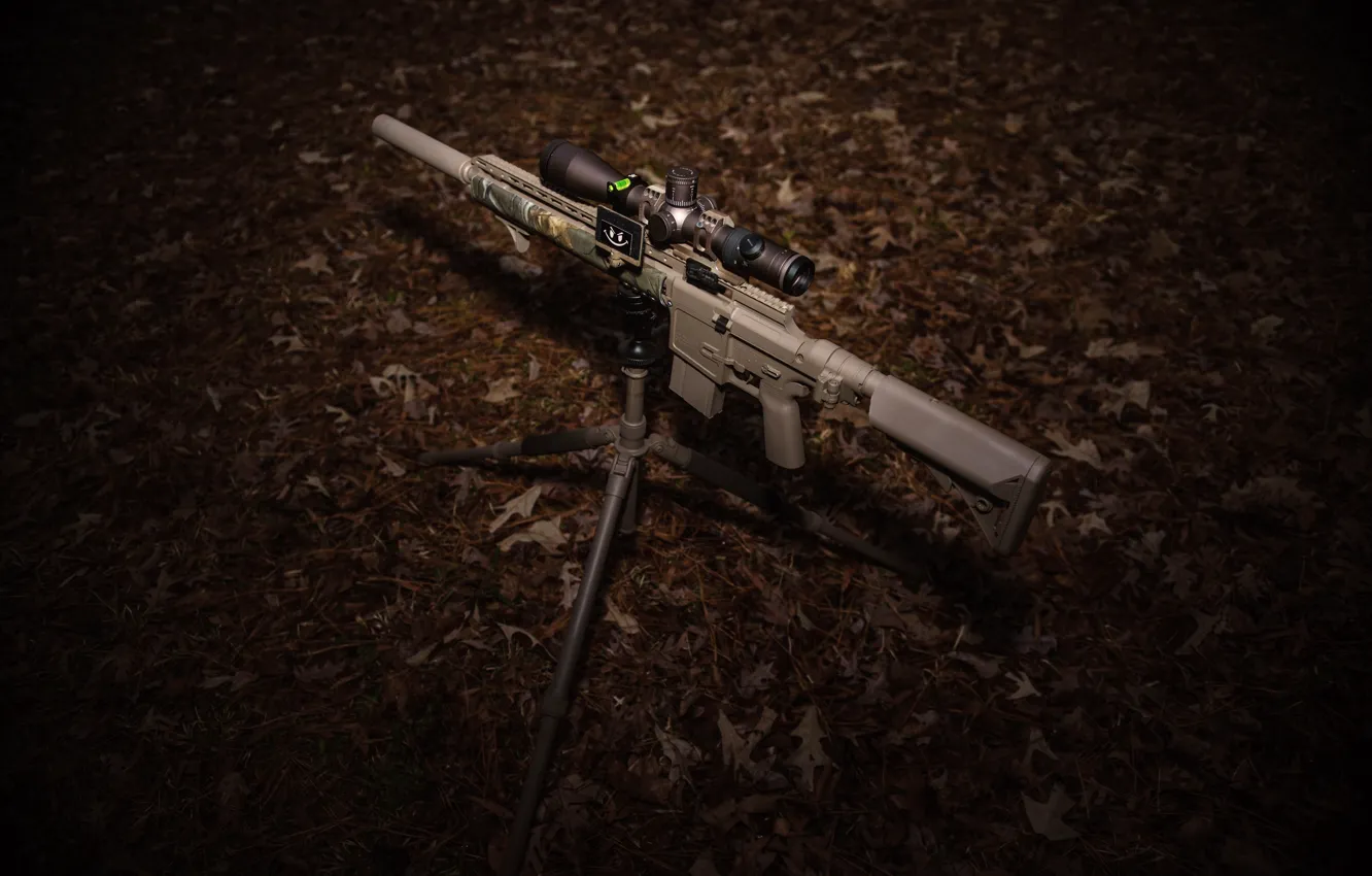 Photo wallpaper background, optics, assault rifle, fry