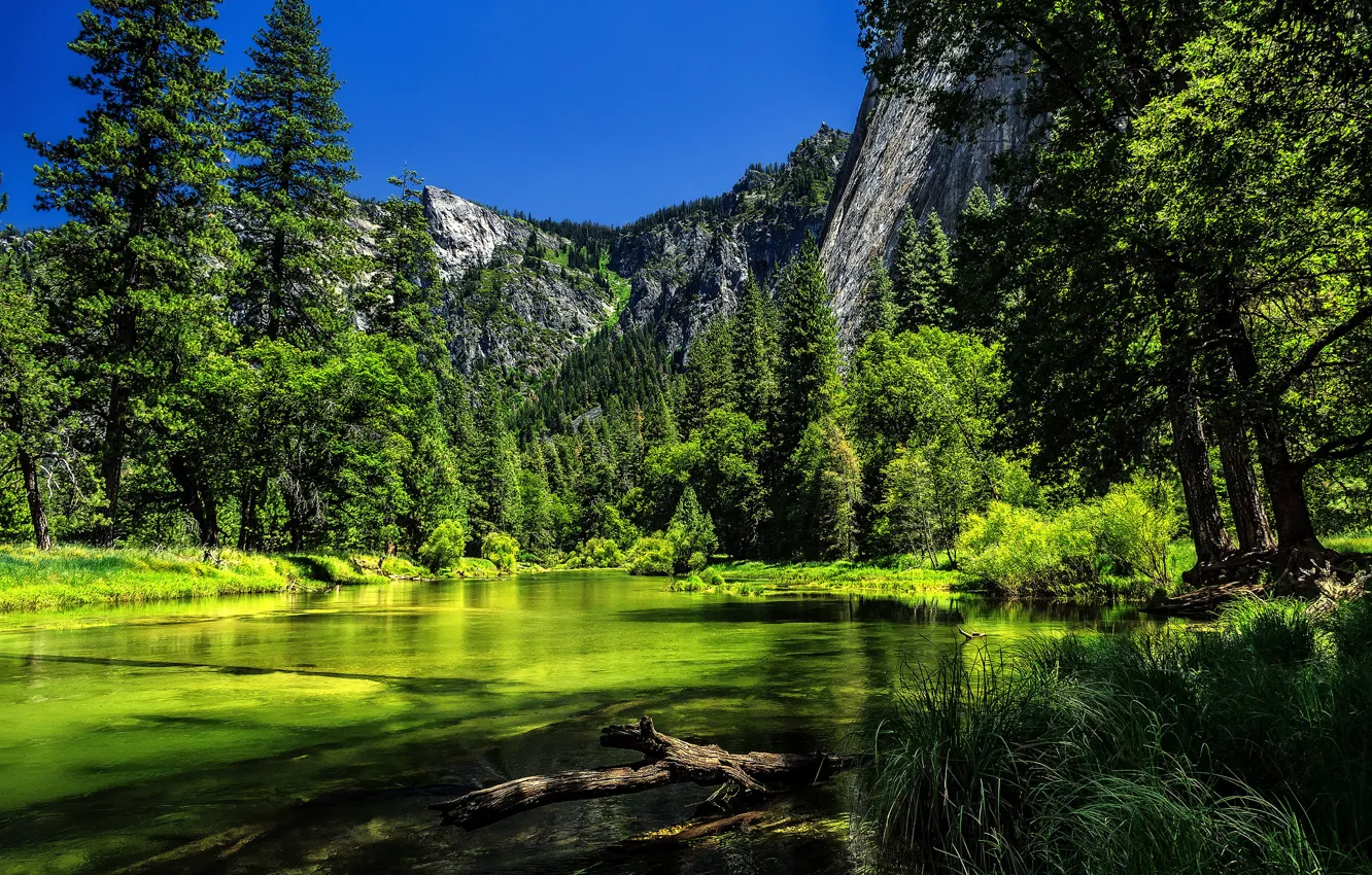 Photo wallpaper trees, mountains, river, CA, Yosemite, California, Yosemite National Park, Sierra Nevada