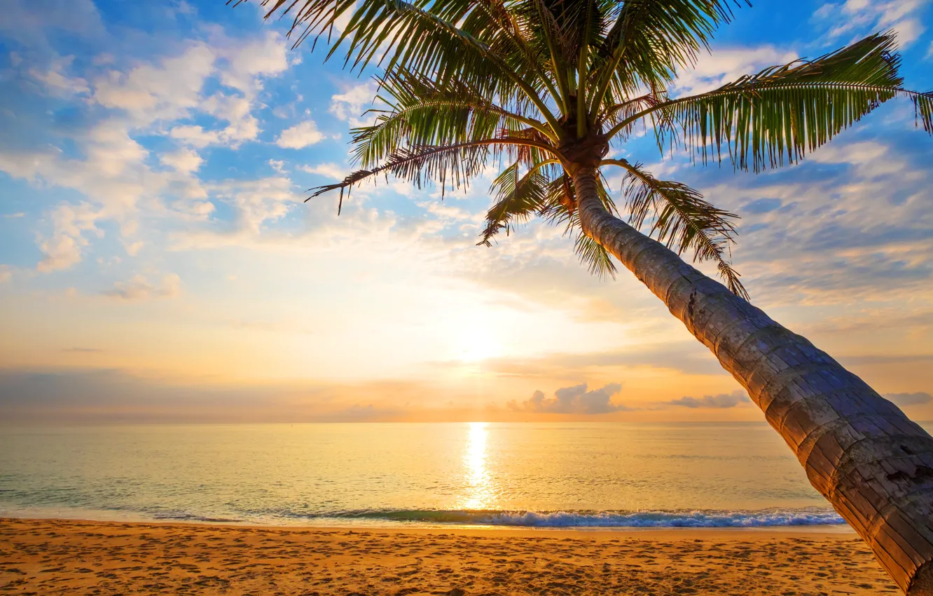 Photo wallpaper sand, sea, wave, beach, summer, sunset, palm trees, shore