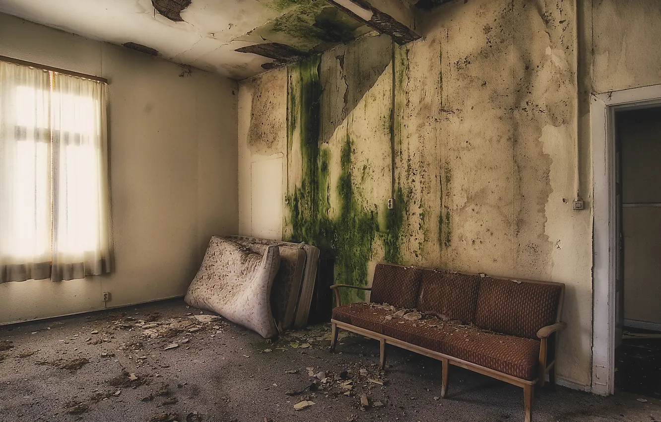 Photo wallpaper room, sofa, window