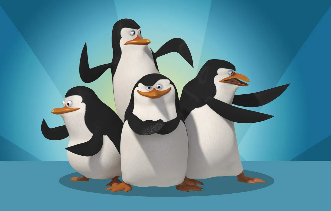 Photo wallpaper Penguins, Madagascar, four, The Penguins madagascar
