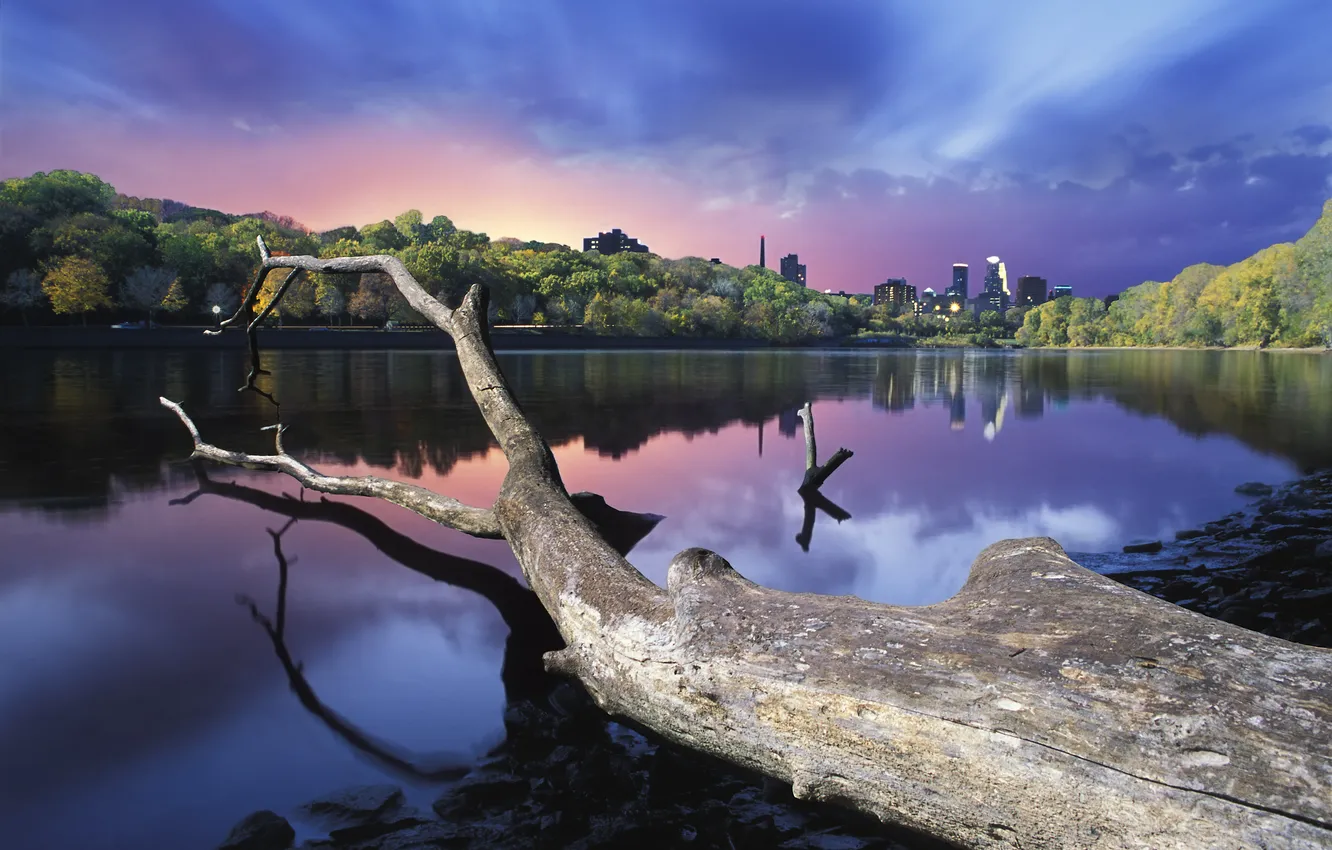 Photo wallpaper landscape, nature, the city, river, Wallpaper, wallpaper, log, tree