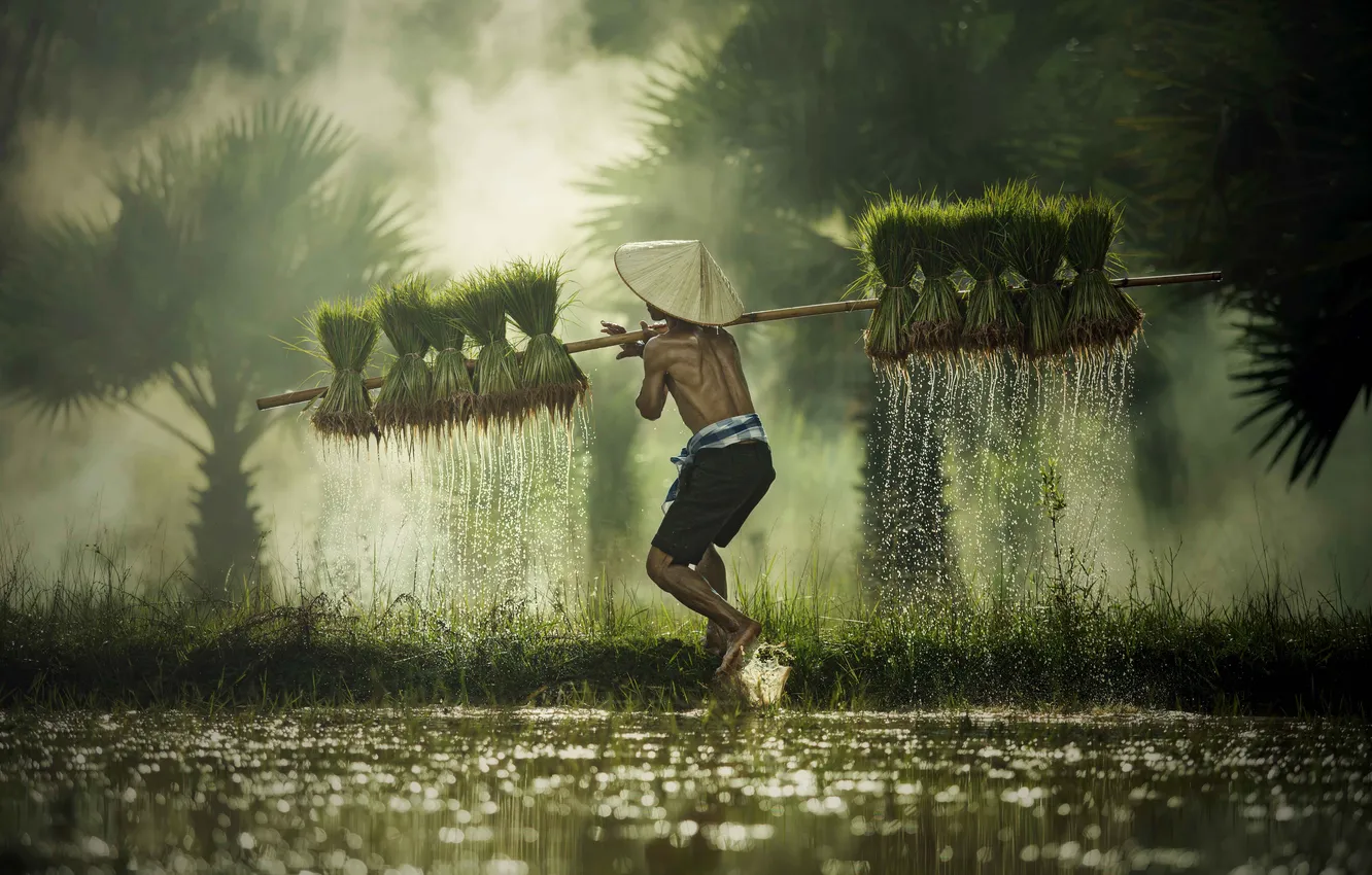 Photo wallpaper man, child, asian, villager