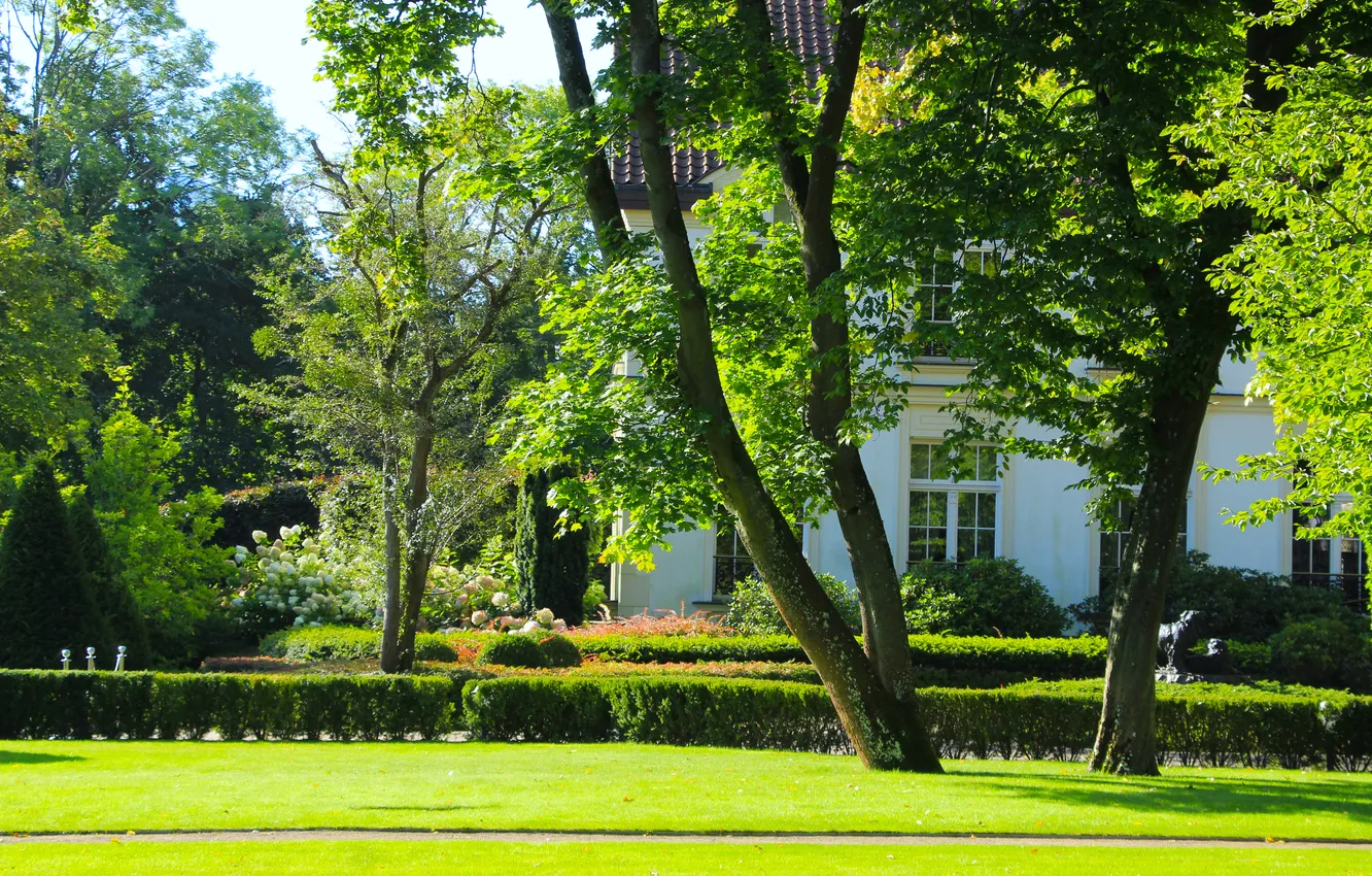 Photo wallpaper park, tree, garden, lawn