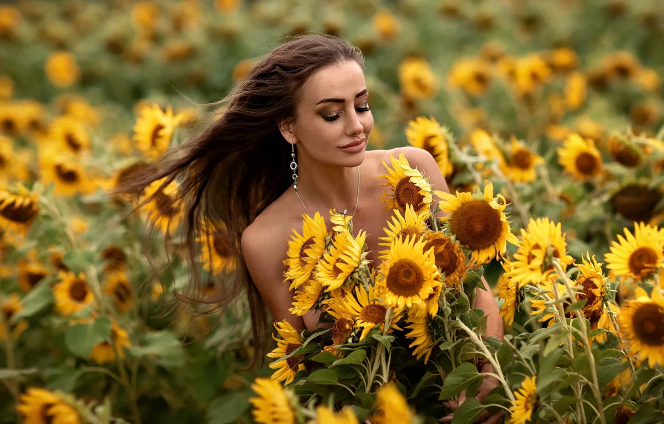 Photo wallpaper field, sunflowers, flowers