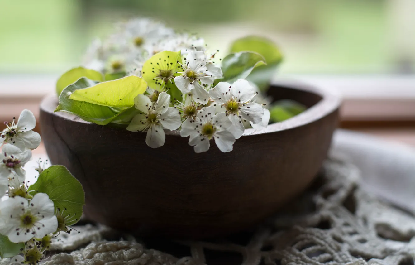 Photo wallpaper bowl, flowering, pear, flowers pear