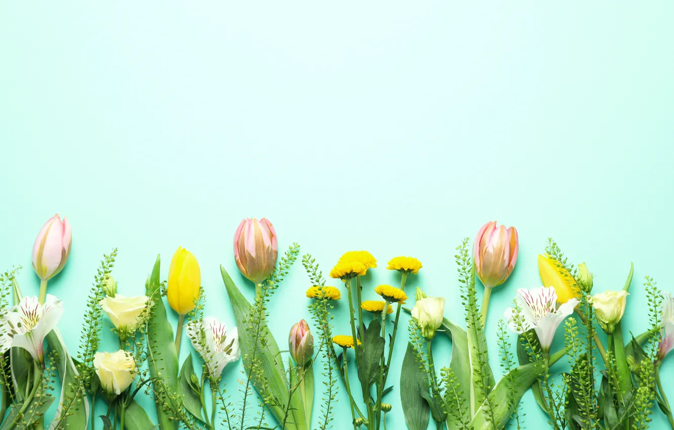 Photo wallpaper flowers, bouquet, tulips, yellow, pink, flowers, tulips, spring