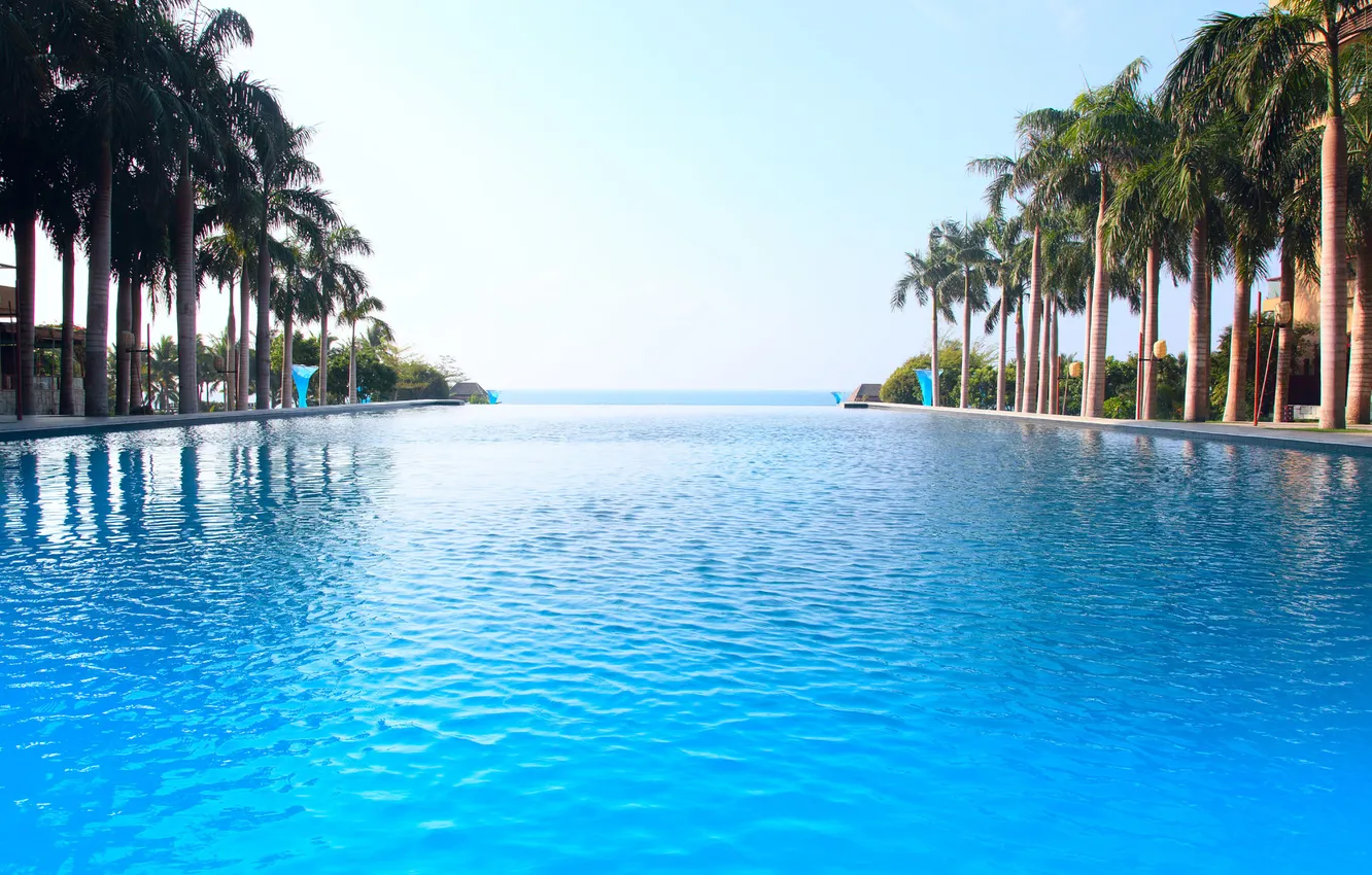 Photo wallpaper palm trees, the ocean, pool