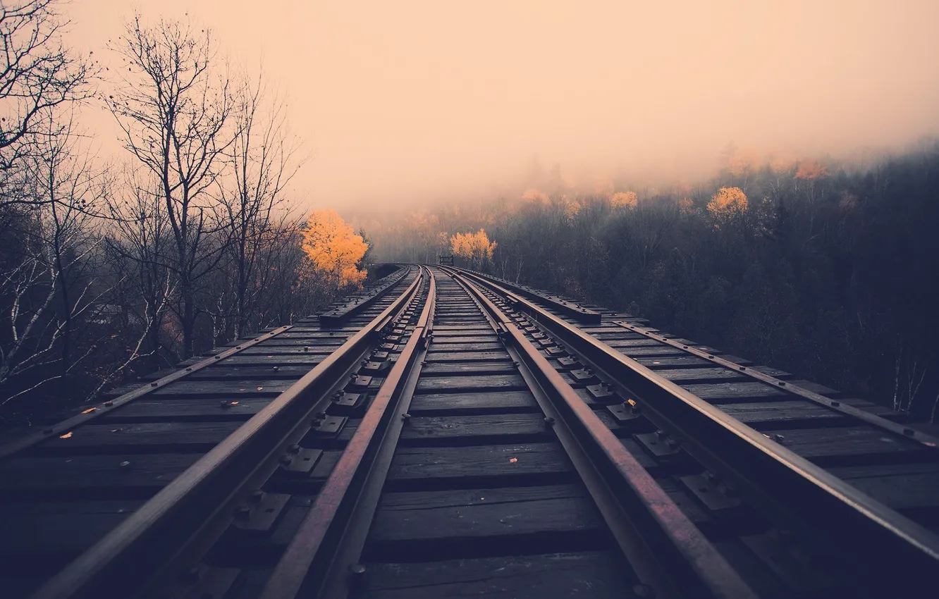 Photo wallpaper road, autumn, the way, rails, road, fall, rail