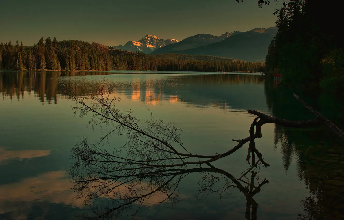 Photo wallpaper forest, the sky, snow, trees, sunset, mountains, lake