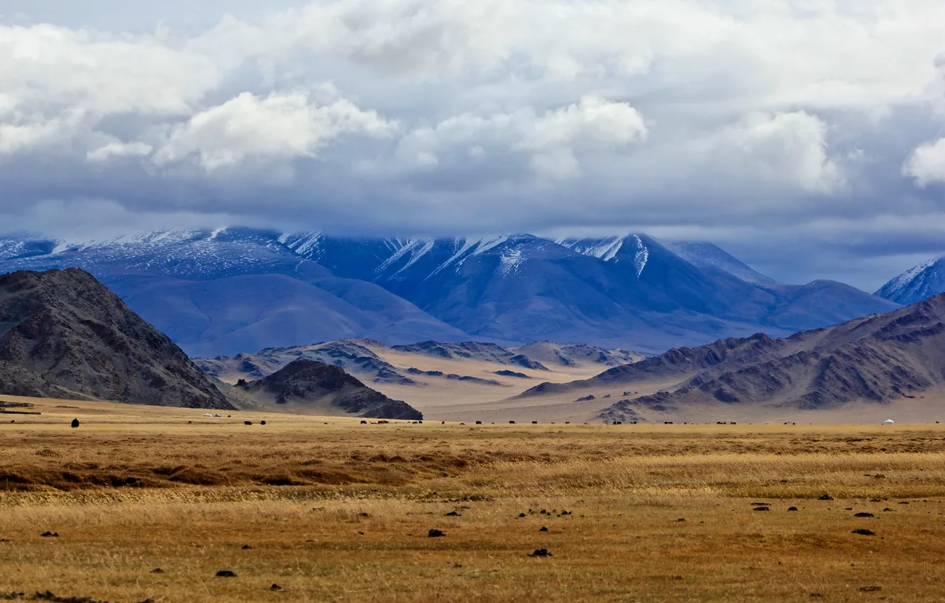 Photo wallpaper landscape, nature, beautiful, scenery, wild, mongolian