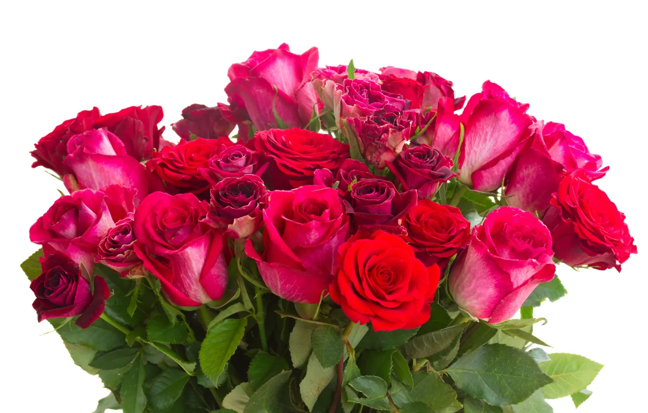 Photo wallpaper roses, bouquet, white background