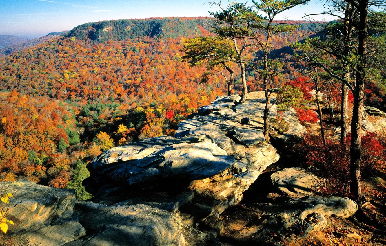 Photo wallpaper autumn, forest, the sky, leaves, trees, mountains, rock