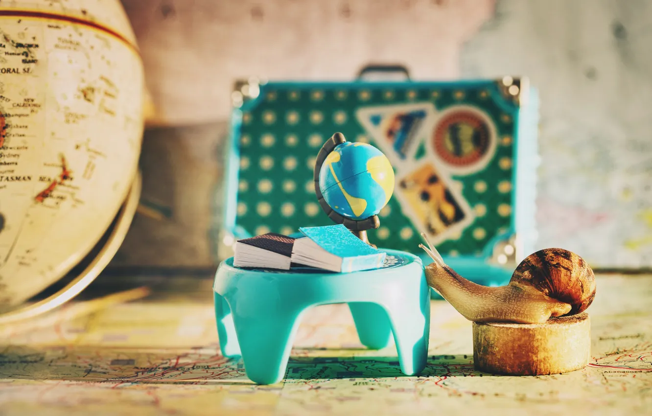 Photo wallpaper macro, table, background, study, books, map, snail, suitcase