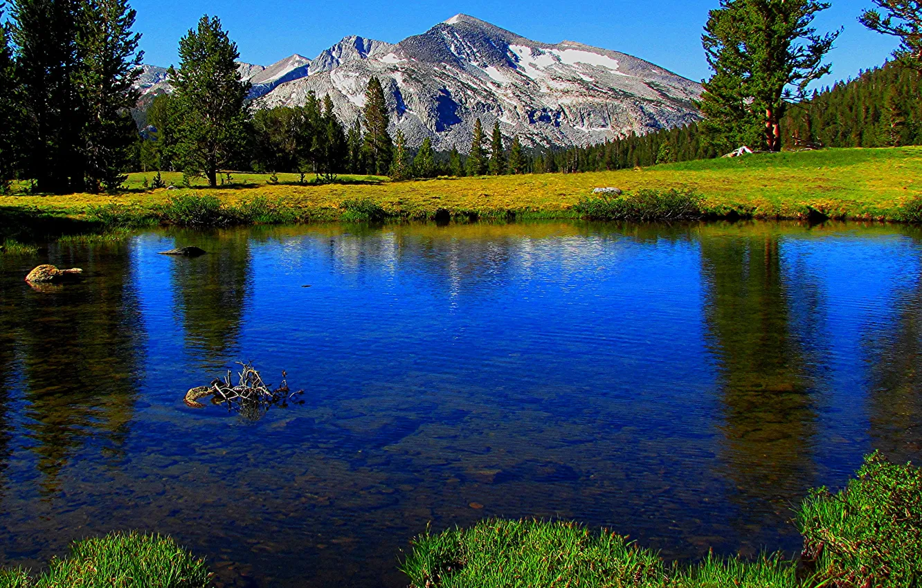 Photo wallpaper the sky, grass, trees, mountains, lake