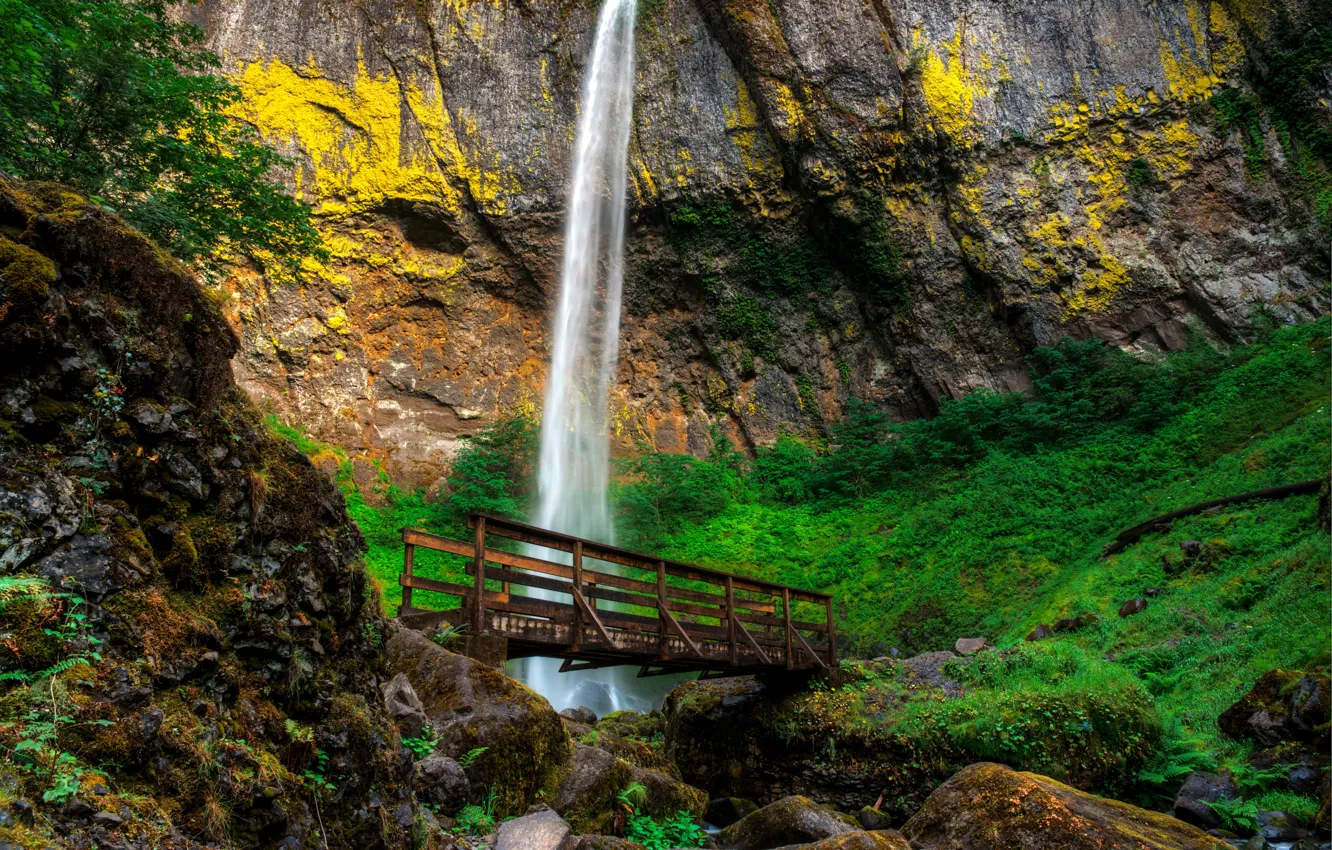 Photo wallpaper bridge, stones, rocks, waterfall, USA, path, Oregon, Elowah Falls