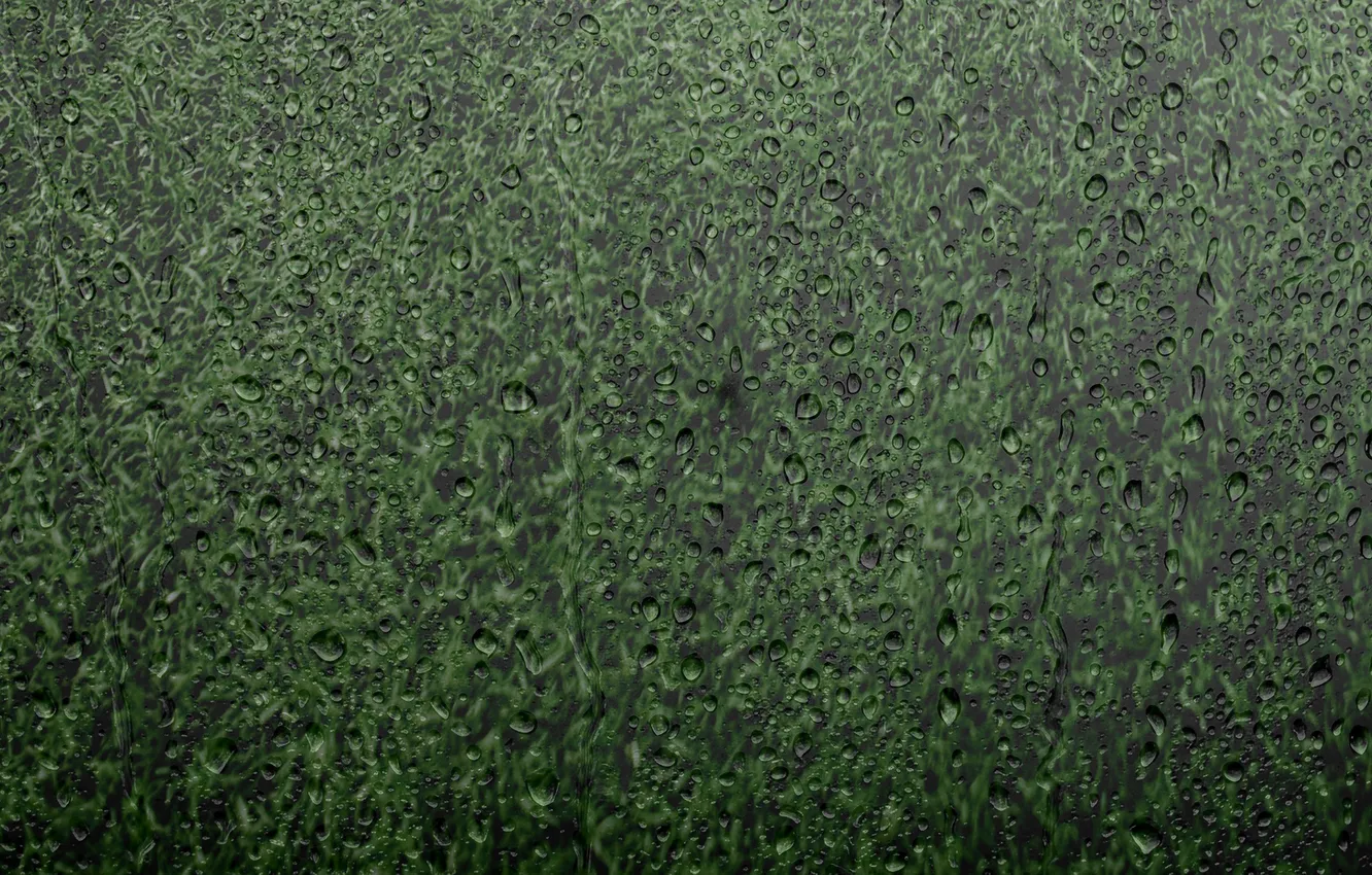 Photo wallpaper grass, glass, drops, rain