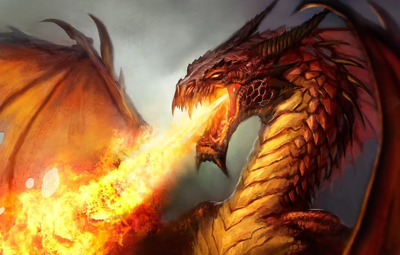 Photo wallpaper lights, flame, dragon, wings, art, evil