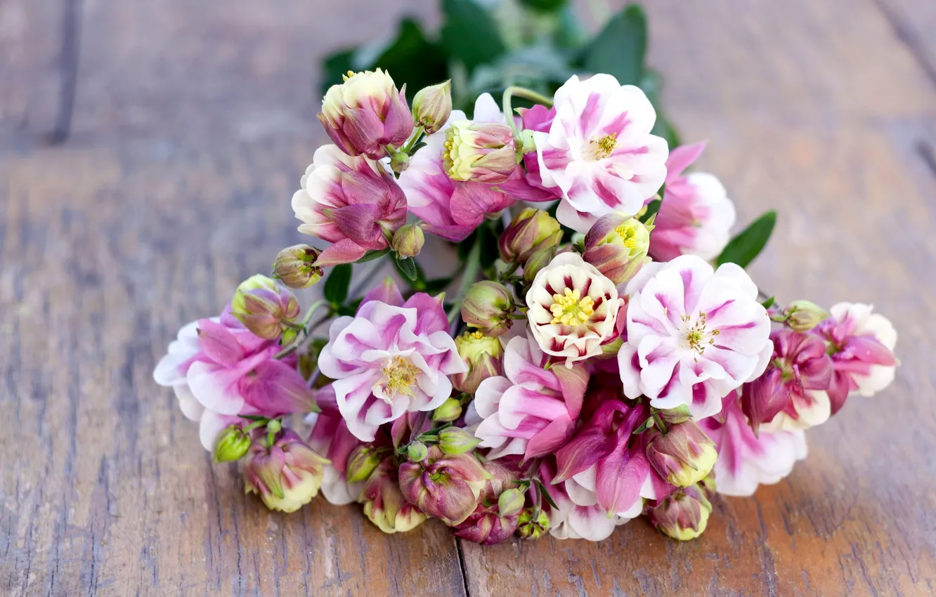 Photo wallpaper flowers, bouquet, flowering, the catchment