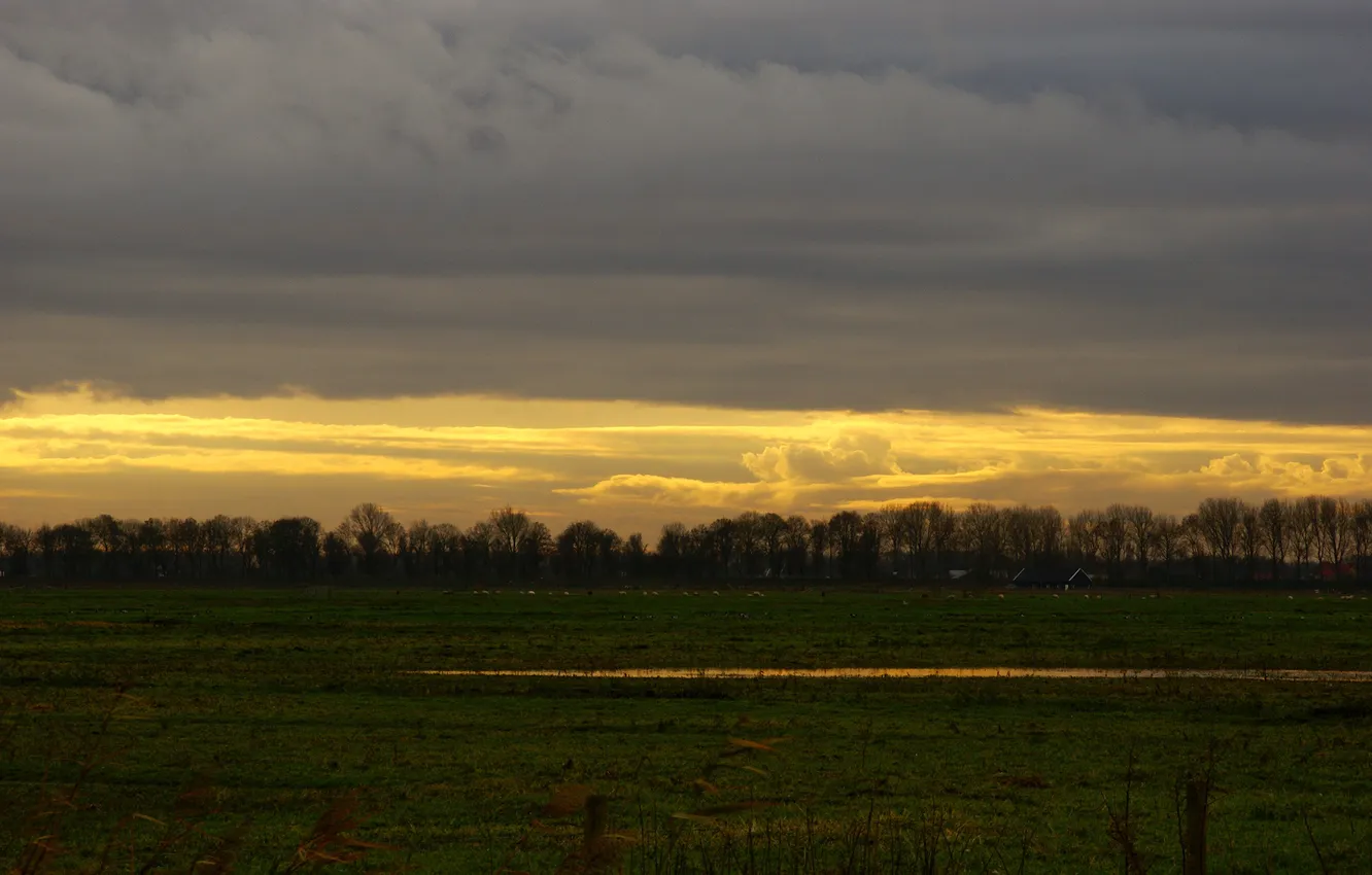 Photo wallpaper water, trees, clouds