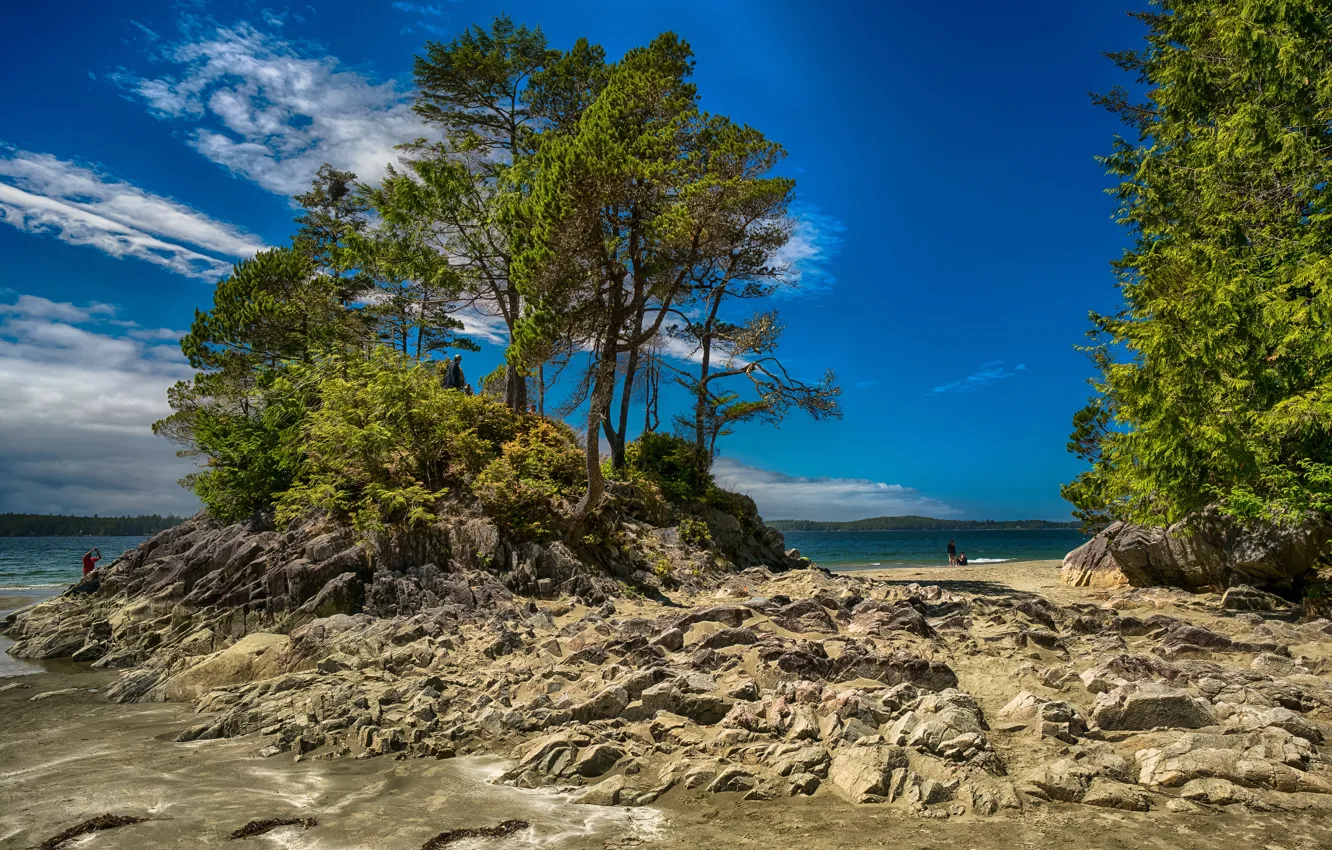 Photo wallpaper sand, sea, forest, beach, the sky, clouds, trees, stones