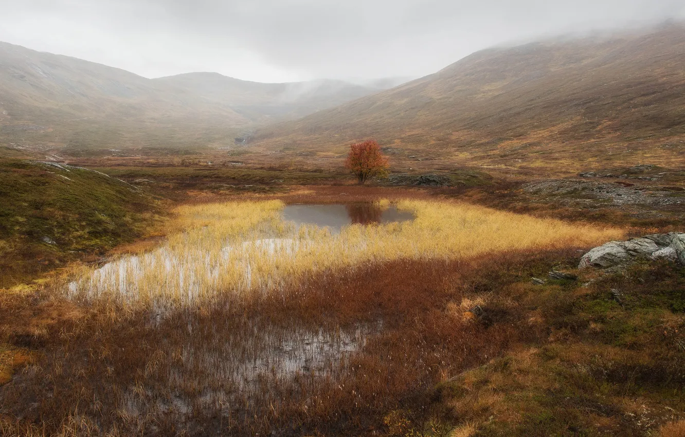 Photo wallpaper autumn, mountains, lake, swamp