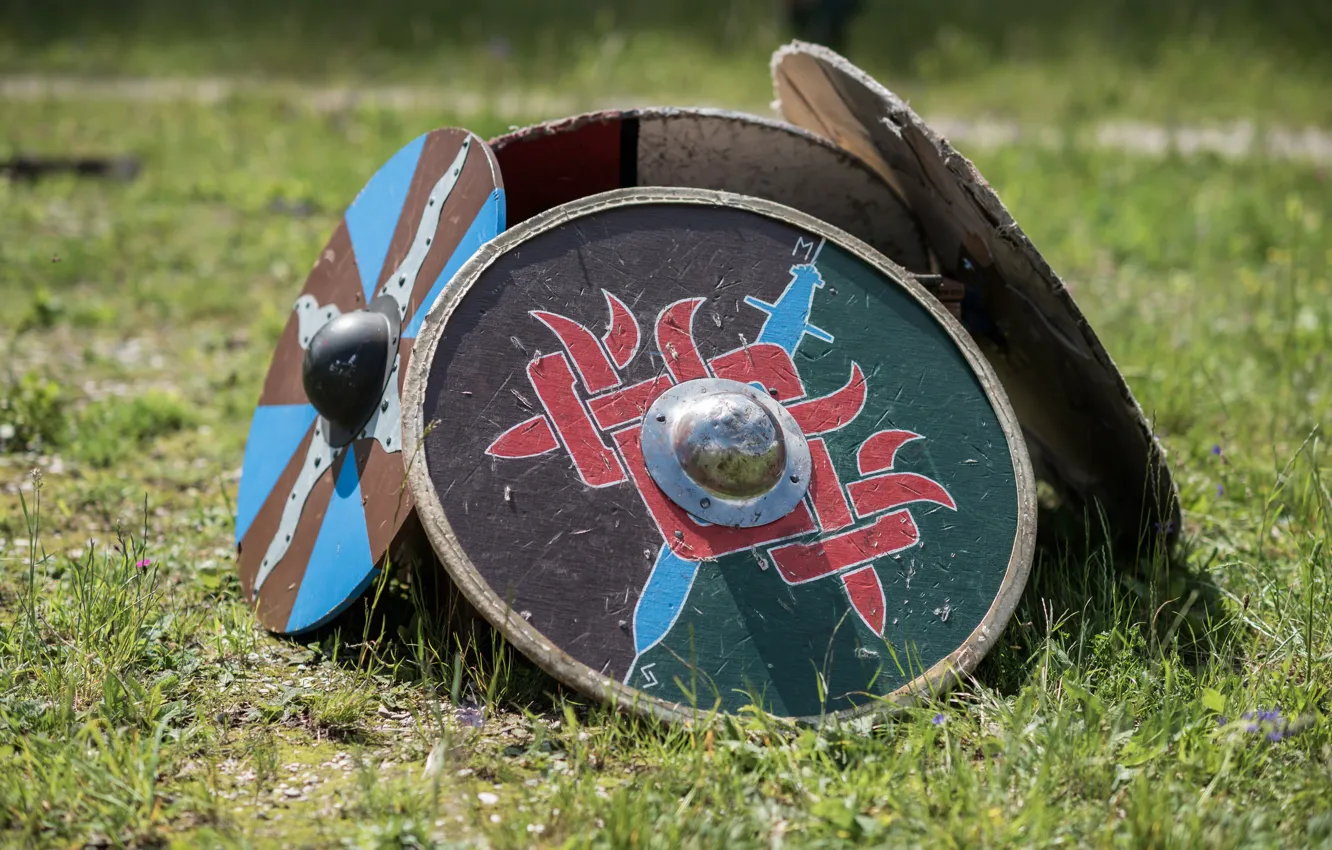 Photo wallpaper grass, shields, Vikings