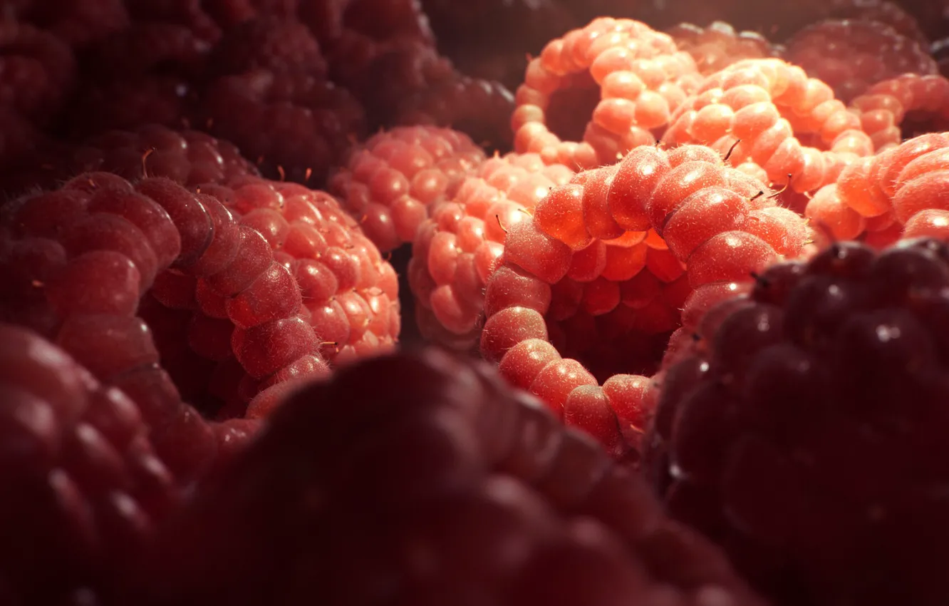 Photo wallpaper berries, raspberry, rendering, food, berry, food, rendering, raspberry
