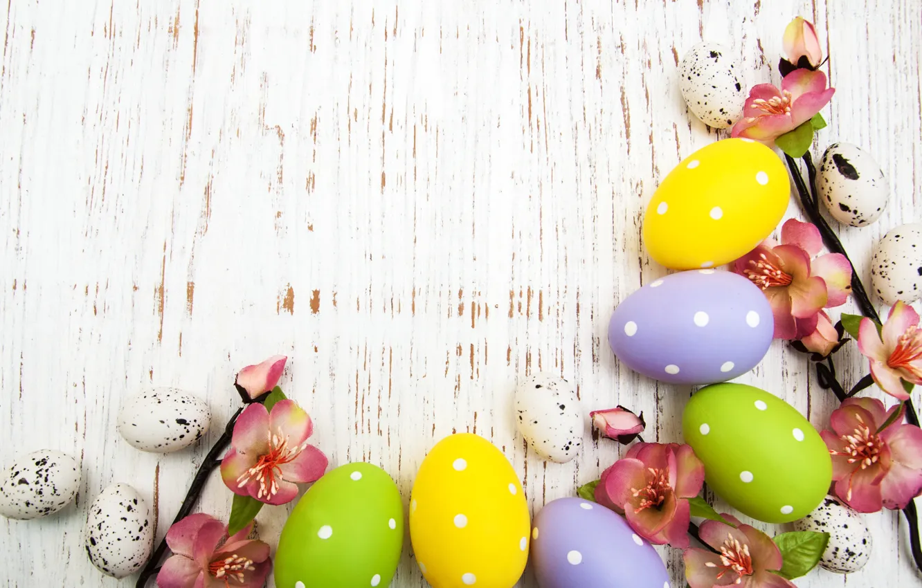 Photo wallpaper flowers, eggs, spring, colorful, Easter, wood, pink, blossom