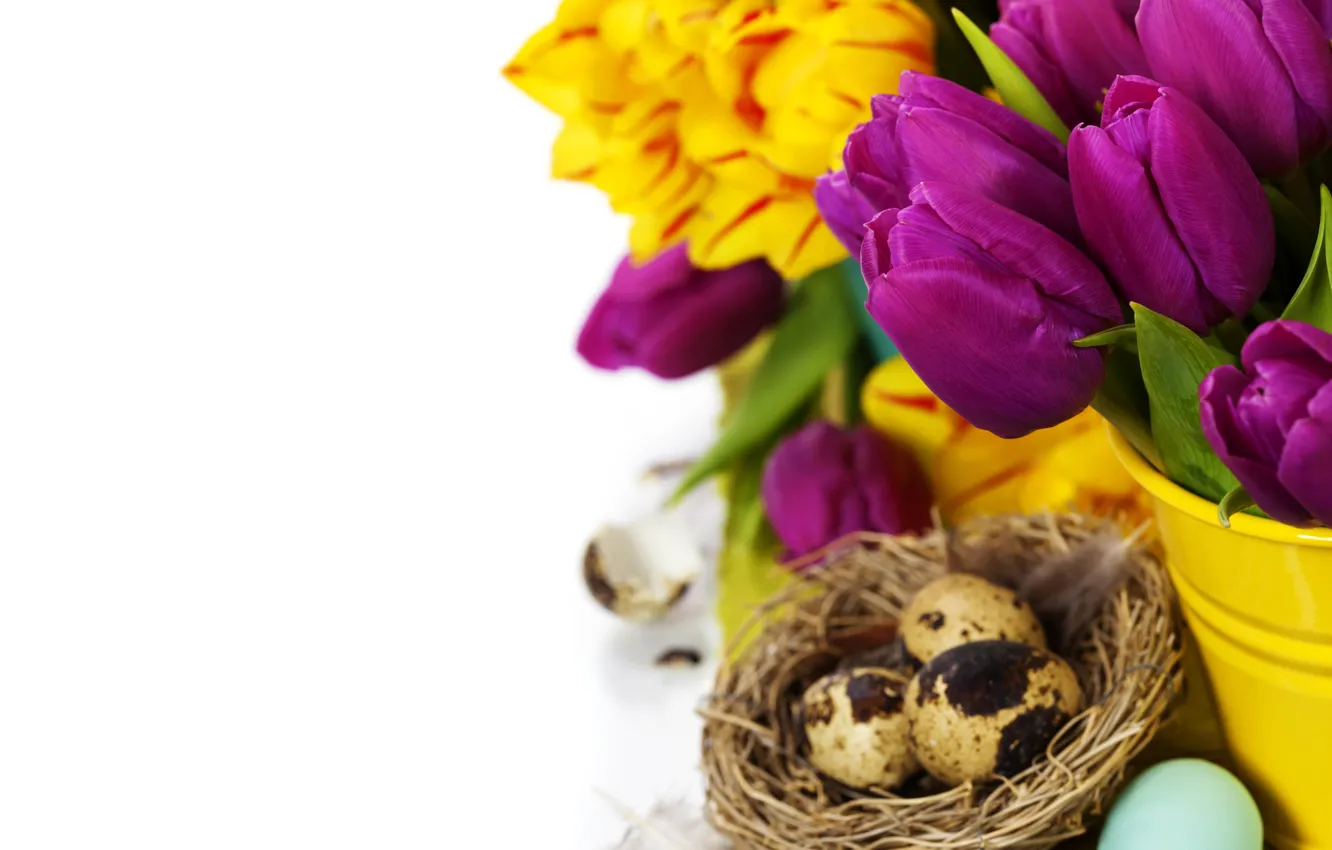 Photo wallpaper tulips, flowers, tulips, Easter, purple, eggs, bouquet