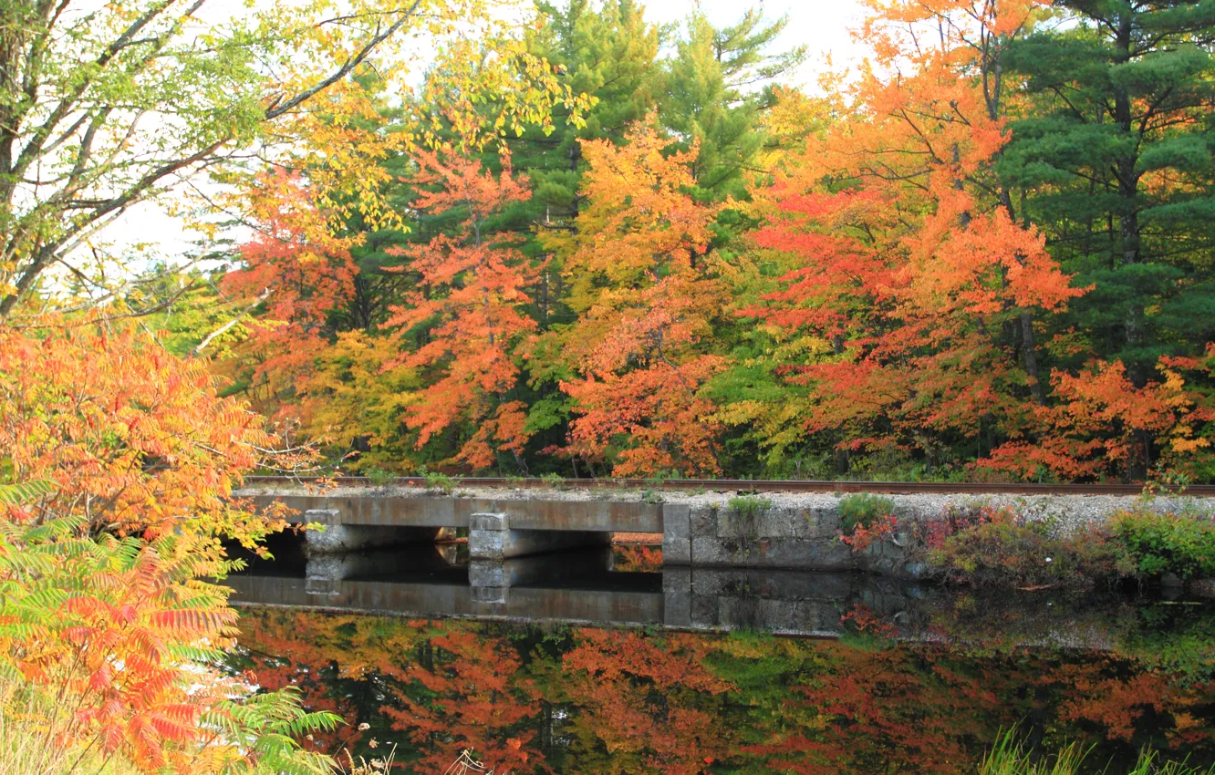 Photo wallpaper autumn, bridge, reflection, channel, nature, bridge, autumn, fall