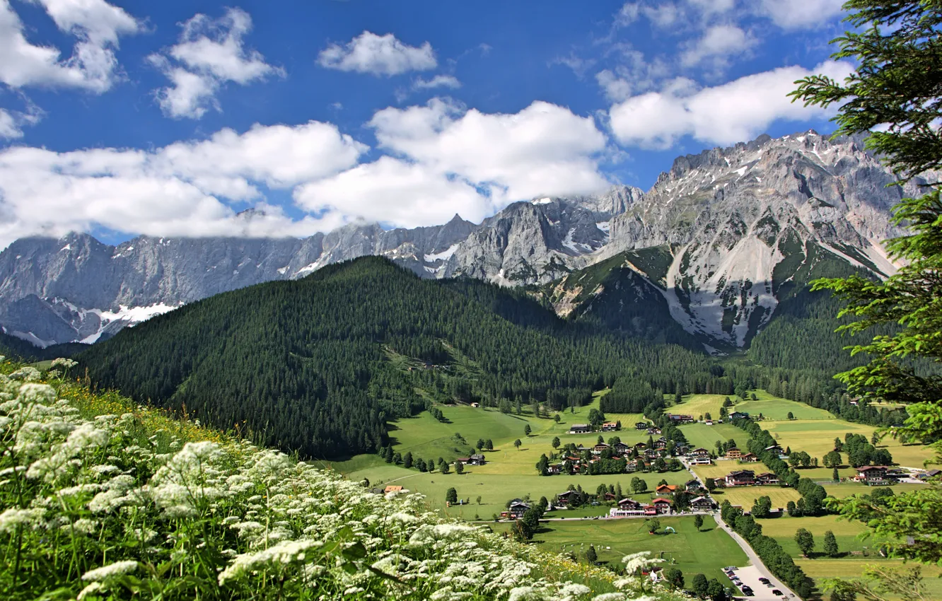 Photo wallpaper flowers, mountains, Austria, valley, village, Alps, panorama, Austria