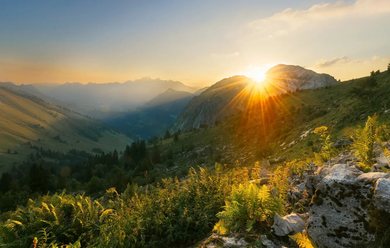 Photo wallpaper the sun, rays, mountains, dawn