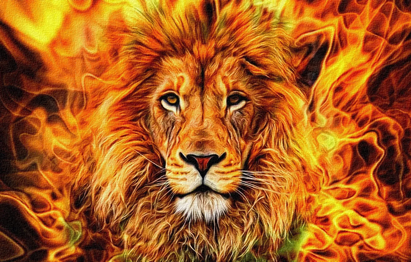 Photo wallpaper abstraction, rendering, flame, figure, portrait, mane, the king of beasts, canvas