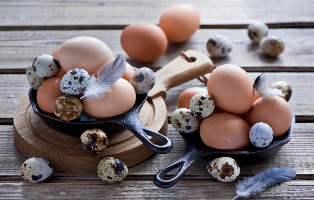 Photo wallpaper eggs, quail, chicken