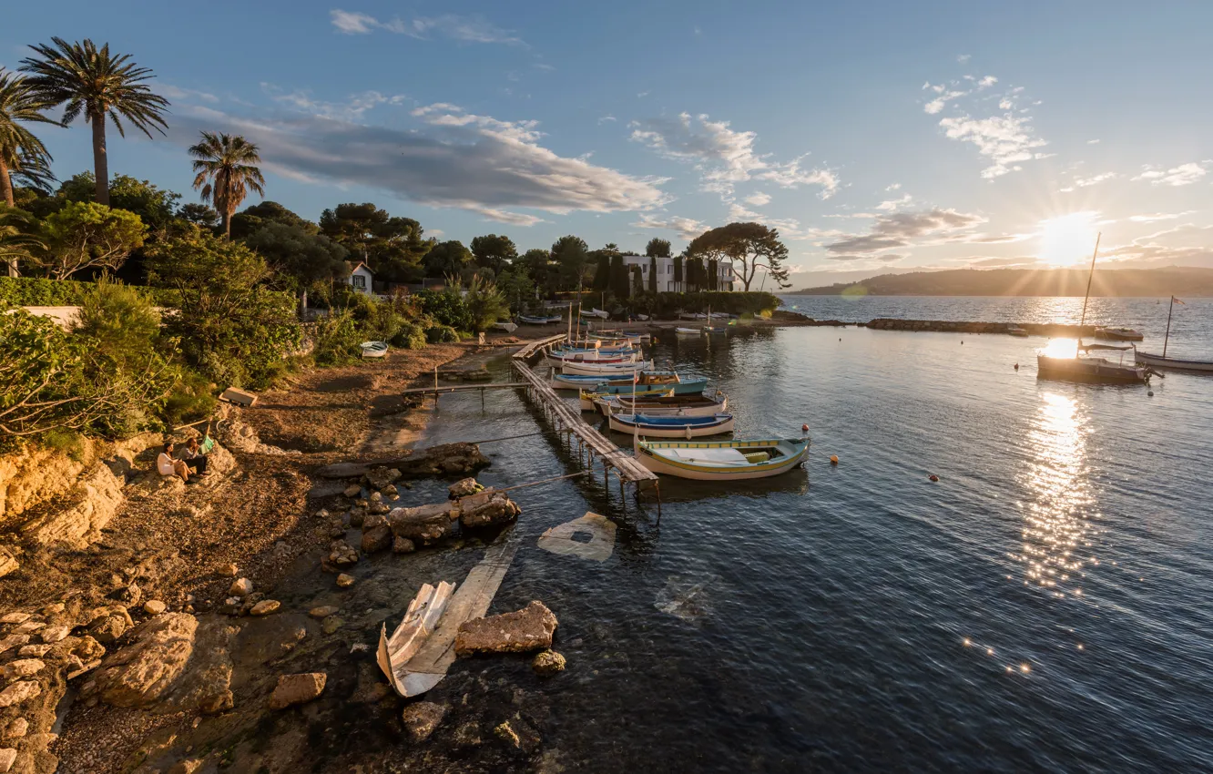 Photo wallpaper sea, the sky, the sun, clouds, trees, stones, palm trees, shore