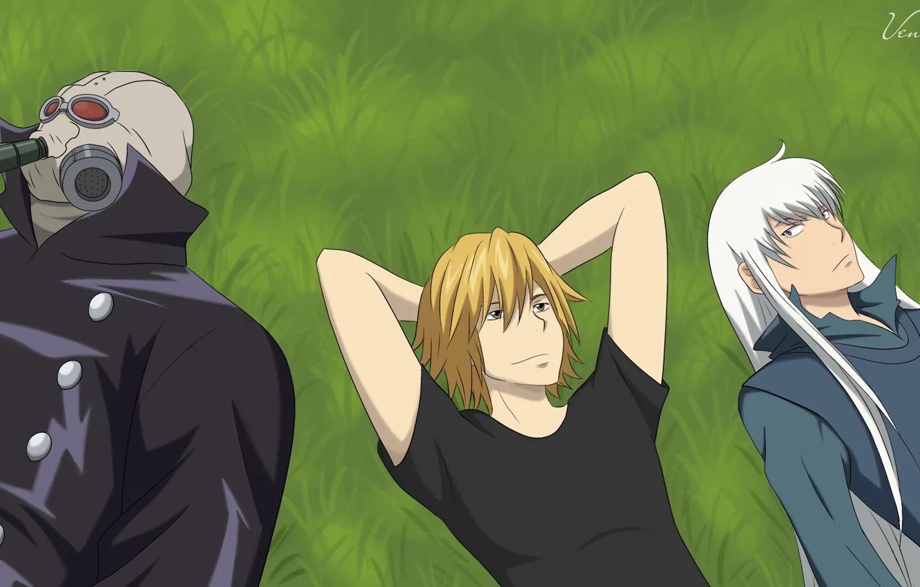 Photo wallpaper anime, meadow, guys, Katekyo Hitman REBORN!, Superbi Squalo, Dino Cavallone, Gola Mosca