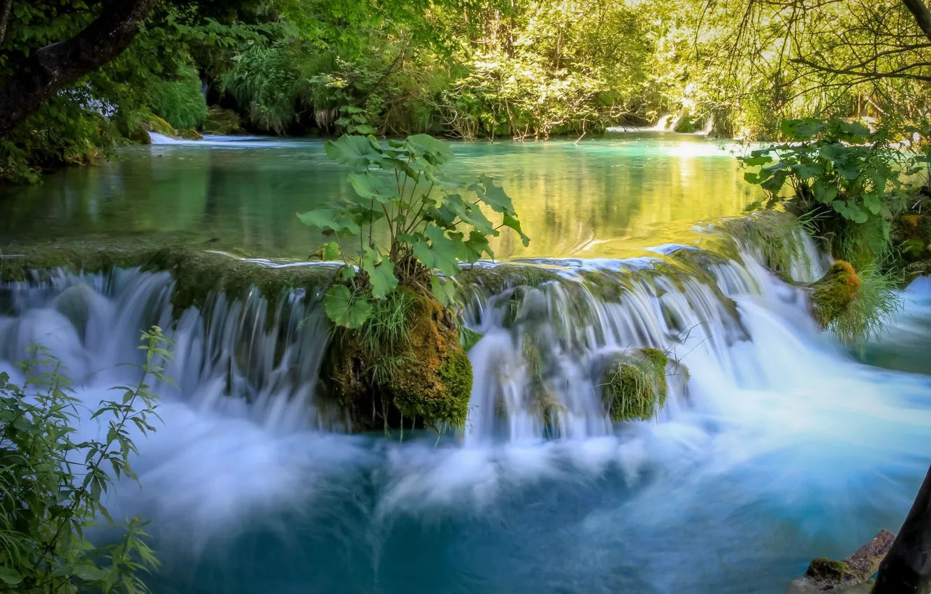 Photo wallpaper water, nature, plant, waterfall, beauty, Croatia, Plitvice lakes