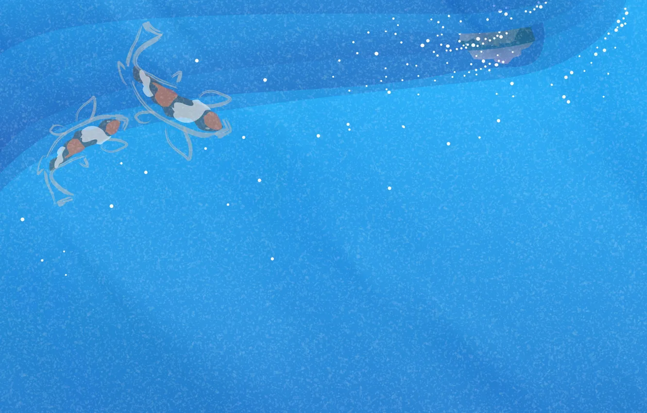 Photo wallpaper line, fish, texture, spot, blue background