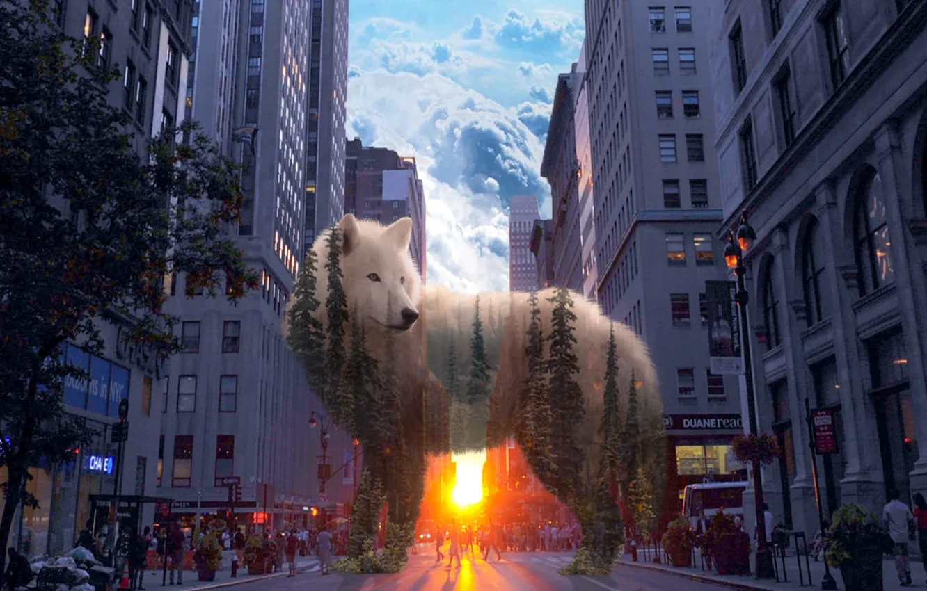 Photo wallpaper forest, the city, wolf, spirit
