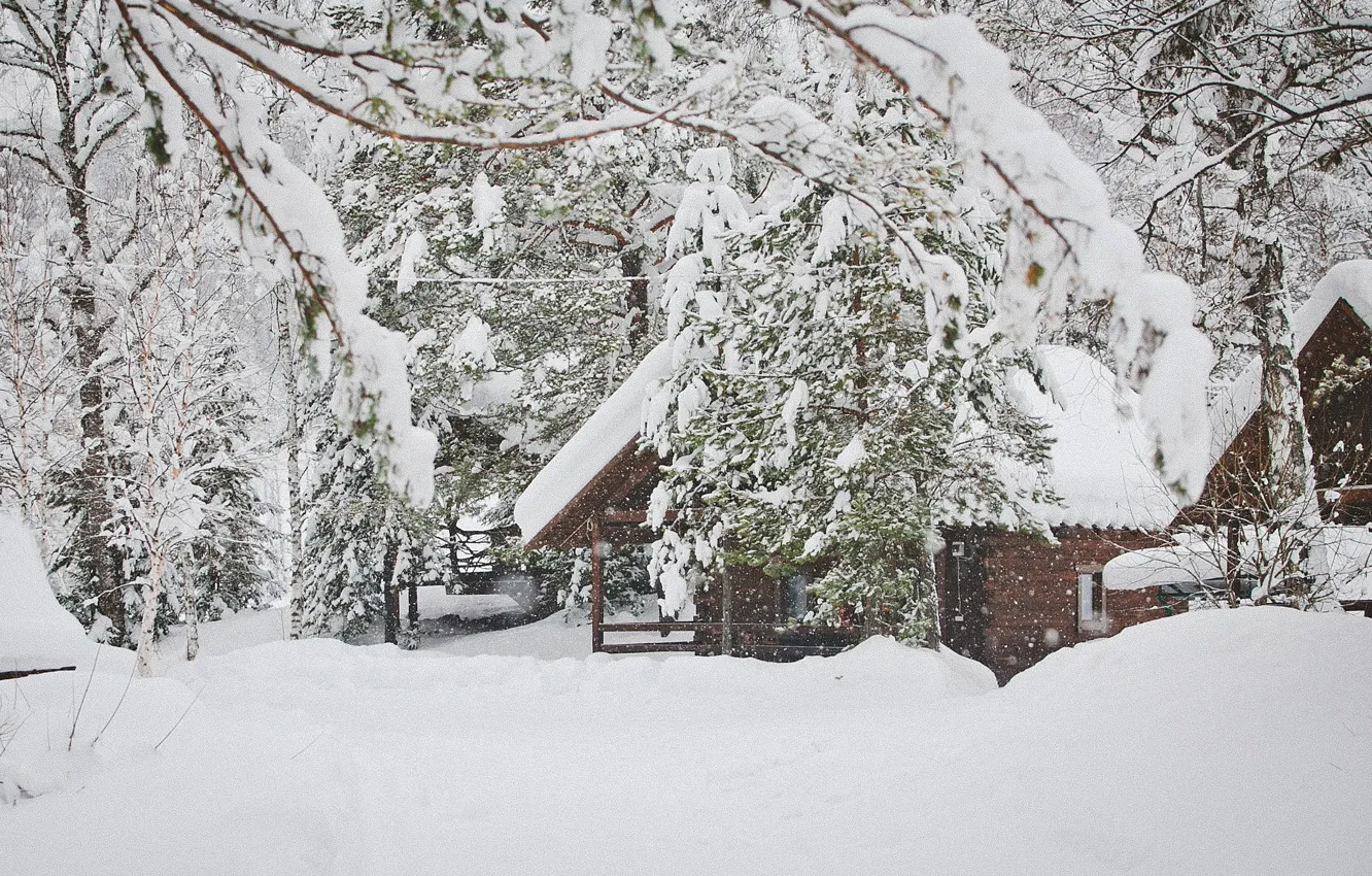 Photo wallpaper snow, Winter, tale, house, journey, Belokurikha, sinayskaya, donggala
