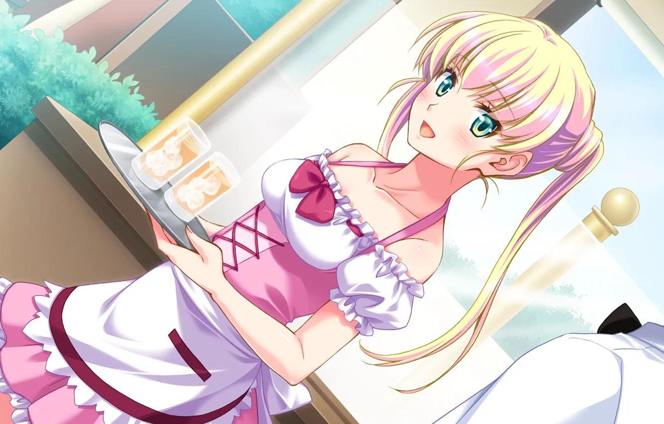 Photo wallpaper glass, blue eyes, art, tray, apron, ruffles, visual novel, no pantsu!!