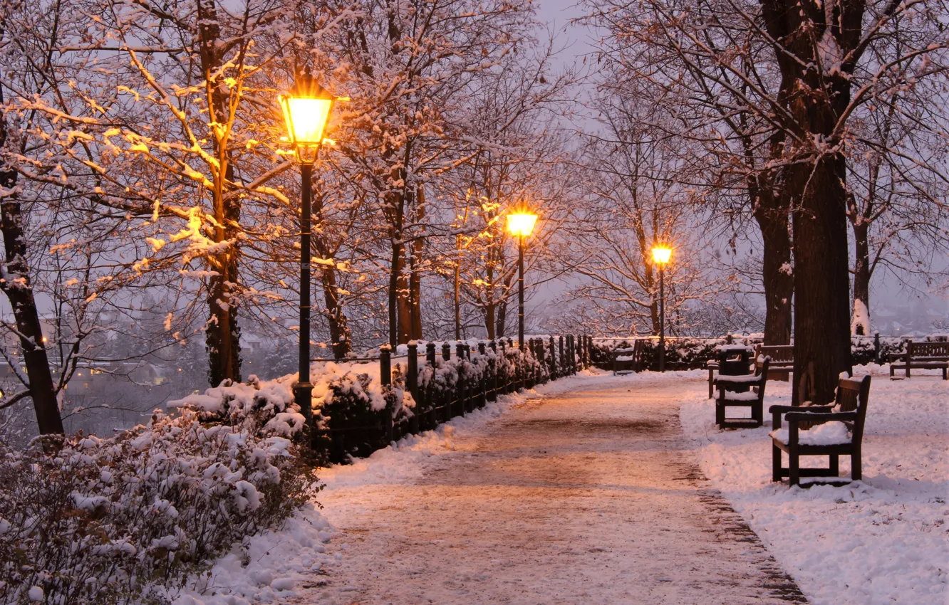 Photo wallpaper winter, snow, trees, lights, Park, the evening, Czech Republic, lights