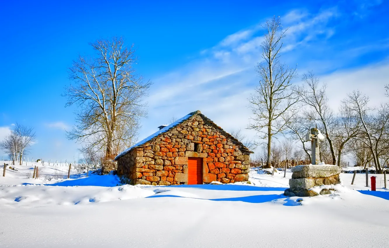 Photo wallpaper winter, the sky, snow, trees, house